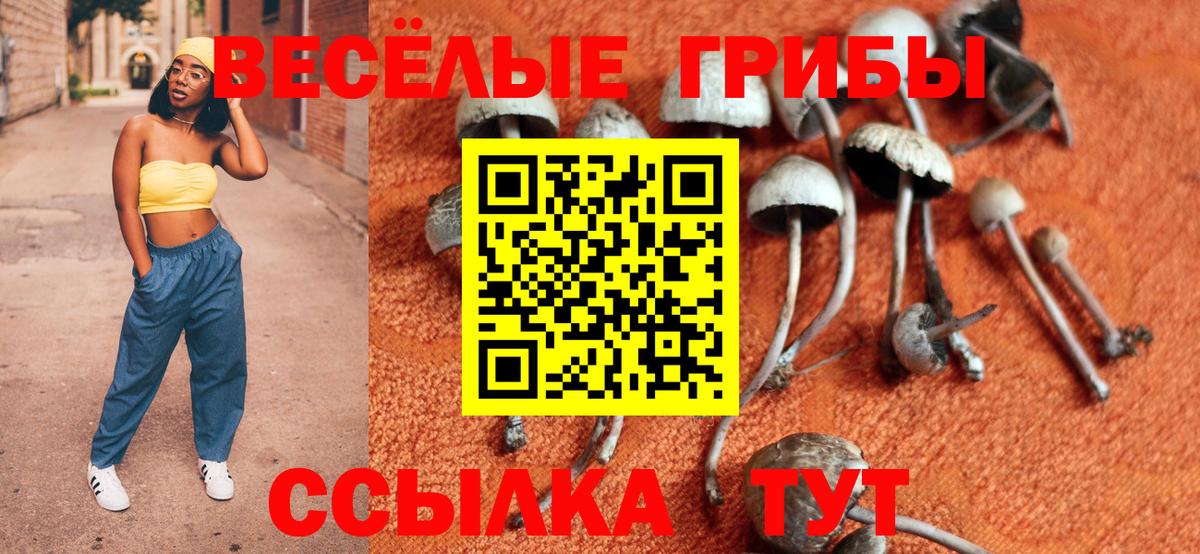 Галлюциногенные грибы Psilocybine cubensis  Галлюциногенные грибы Magic Shrooms  Шуя  Вход с VPN 
