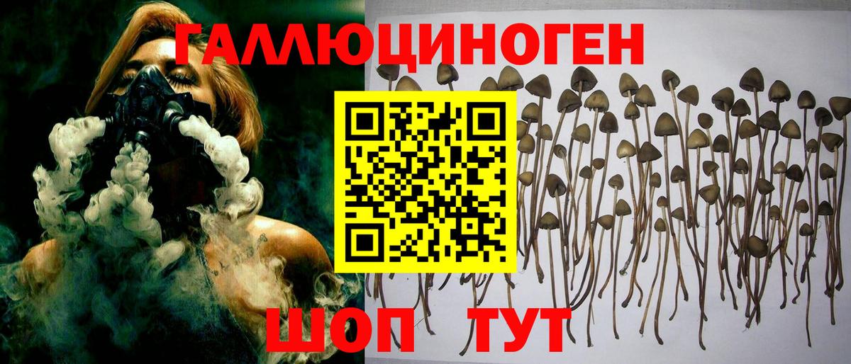 Мефедрон кристаллы  COCAIN  Шуя  ЭКСТАЗИ  Марихуана  Вход с VPN 